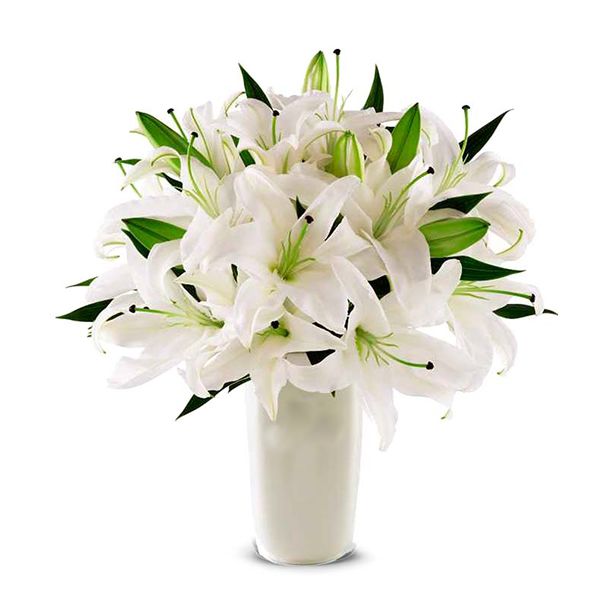  Alanya Çiçek Vazoda Beyaz Lilyumlar